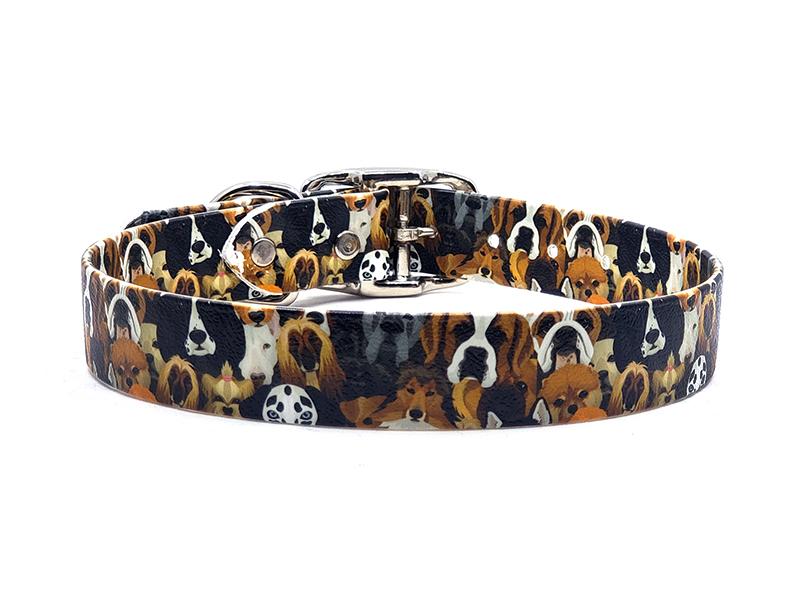 All The Dogs No-Stink Waterproof Collar