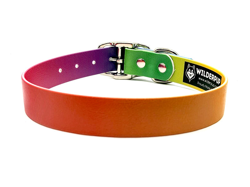 Smooth Rainbow No-Stink Waterproof Collar