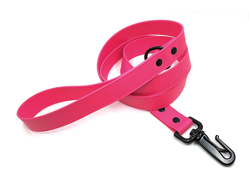 Biothane Waterproof Leash