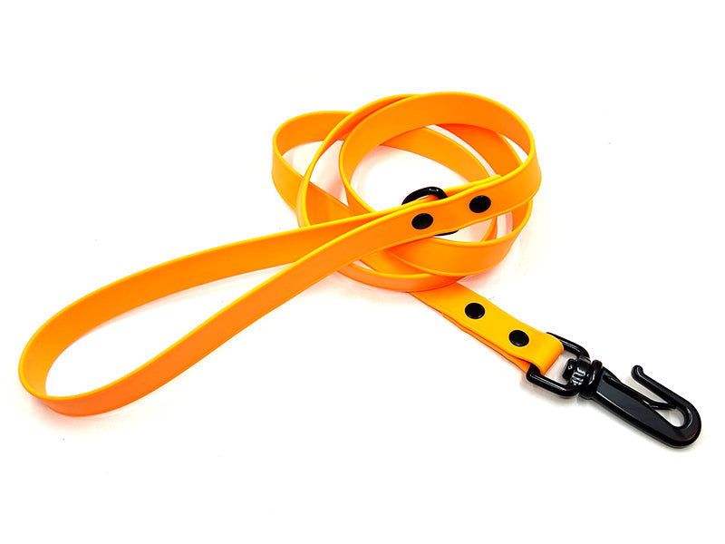 Biothane Waterproof Leash