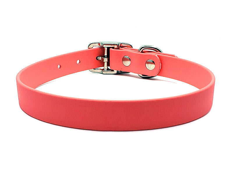 CORAL Biothane No-Stink Waterproof Collar