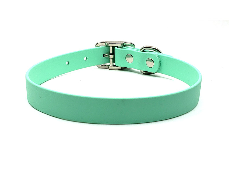 SEAFOAM Biothane No-Stink Waterproof Collar