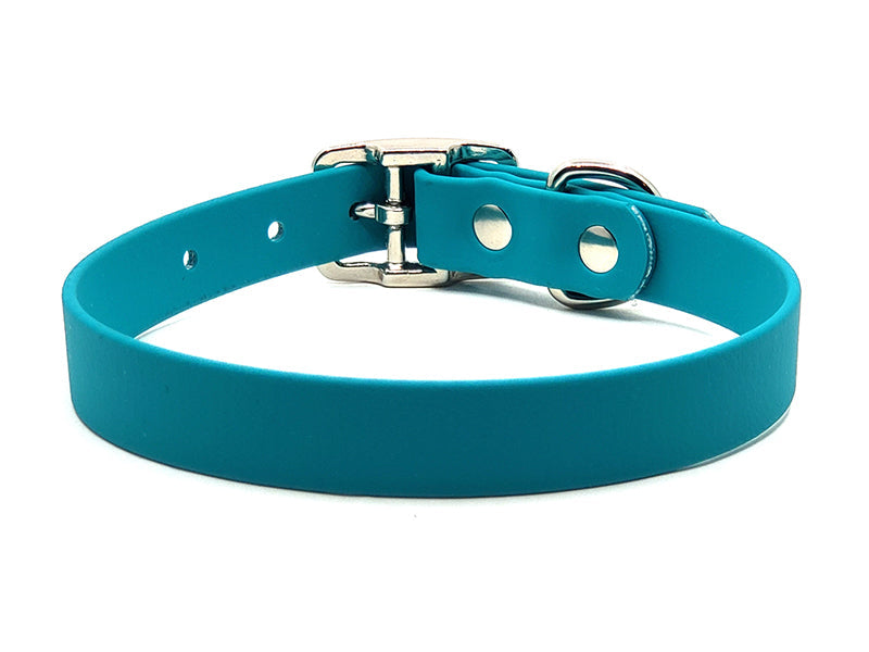 TEAL Biothane No-Stink Waterproof Collar