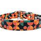 The Dinah No-Stink Waterproof Collar