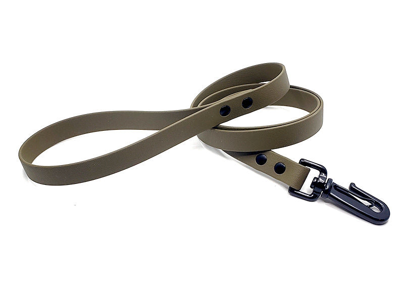 OD Green Biothane Waterproof Leash