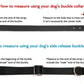 The Sonny No-Stink Waterproof Collar