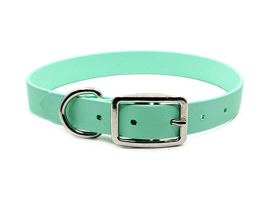 SEAFOAM Biothane No-Stink Waterproof Collar