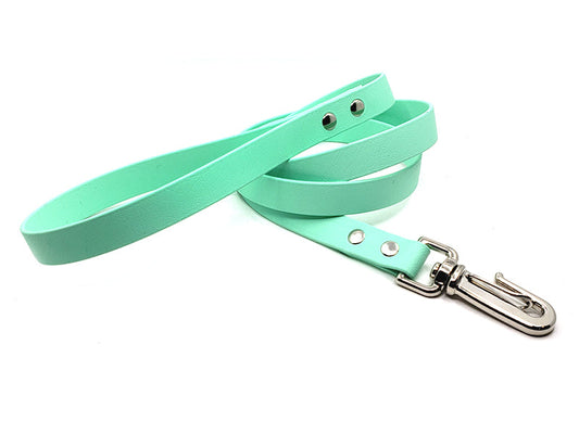 Seafoam Green Biothane Waterproof Leash